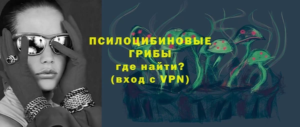 МДМА Ельня