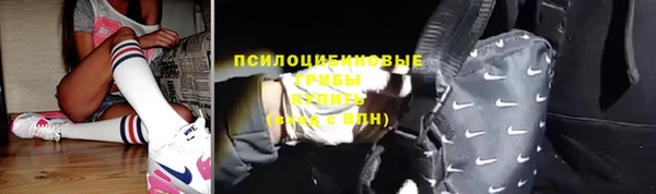 СК Елизово