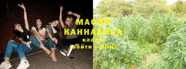МДМА Ельня