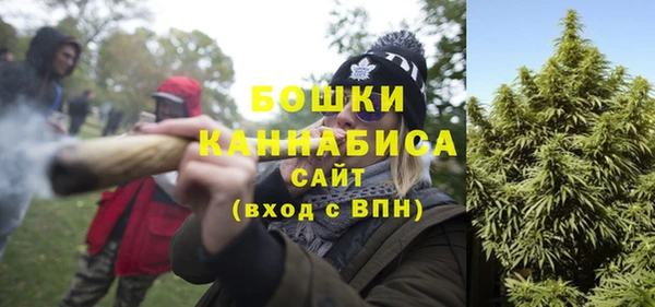 СК Елизово