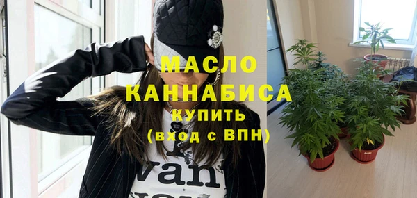 мет Елабуга