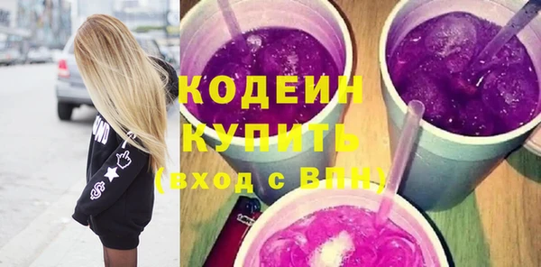 СК Елизово